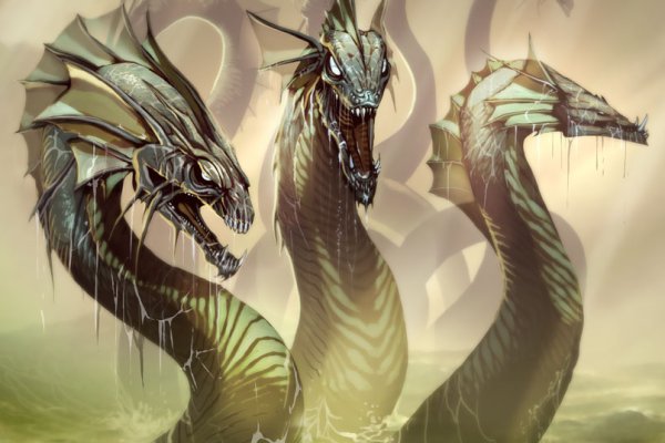 Kraken17 at