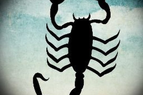 Craken14 at