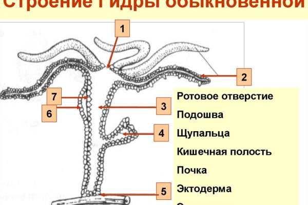 Как найти настоящую кракен супернет ссылку