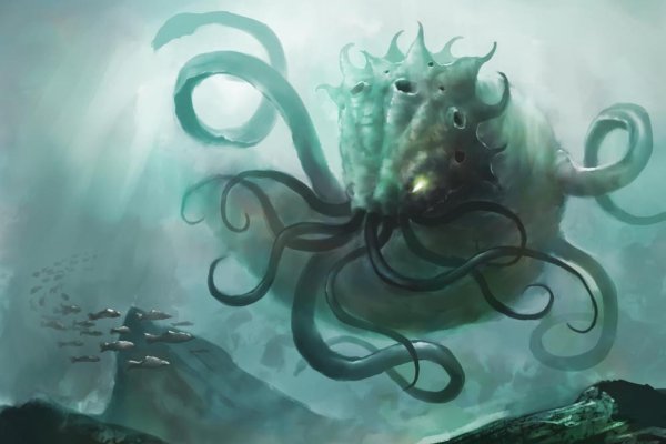 Kraken whitenet